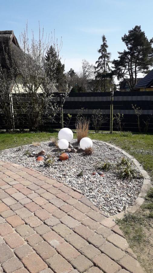 Ferienwohnung Born Am Darsswald Eg Exterior photo
